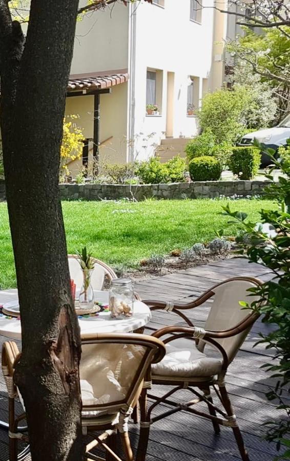 Hotel Vanilla تيميشورا المظهر الخارجي الصورة