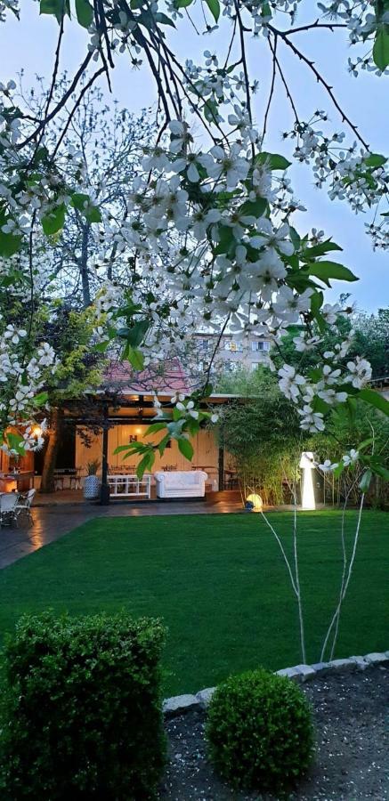 Hotel Vanilla تيميشورا المظهر الخارجي الصورة